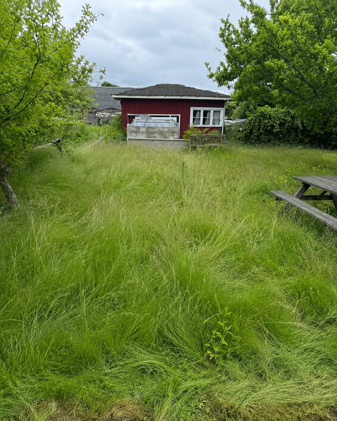 Have med højt, uklippet græs før arbejdet.